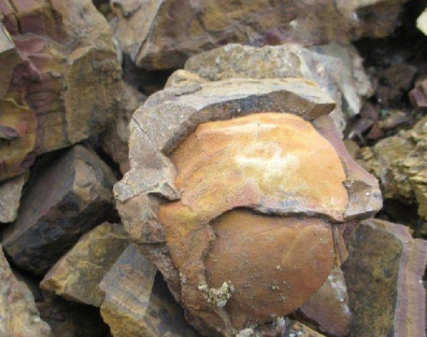 石黄能不能做壶?