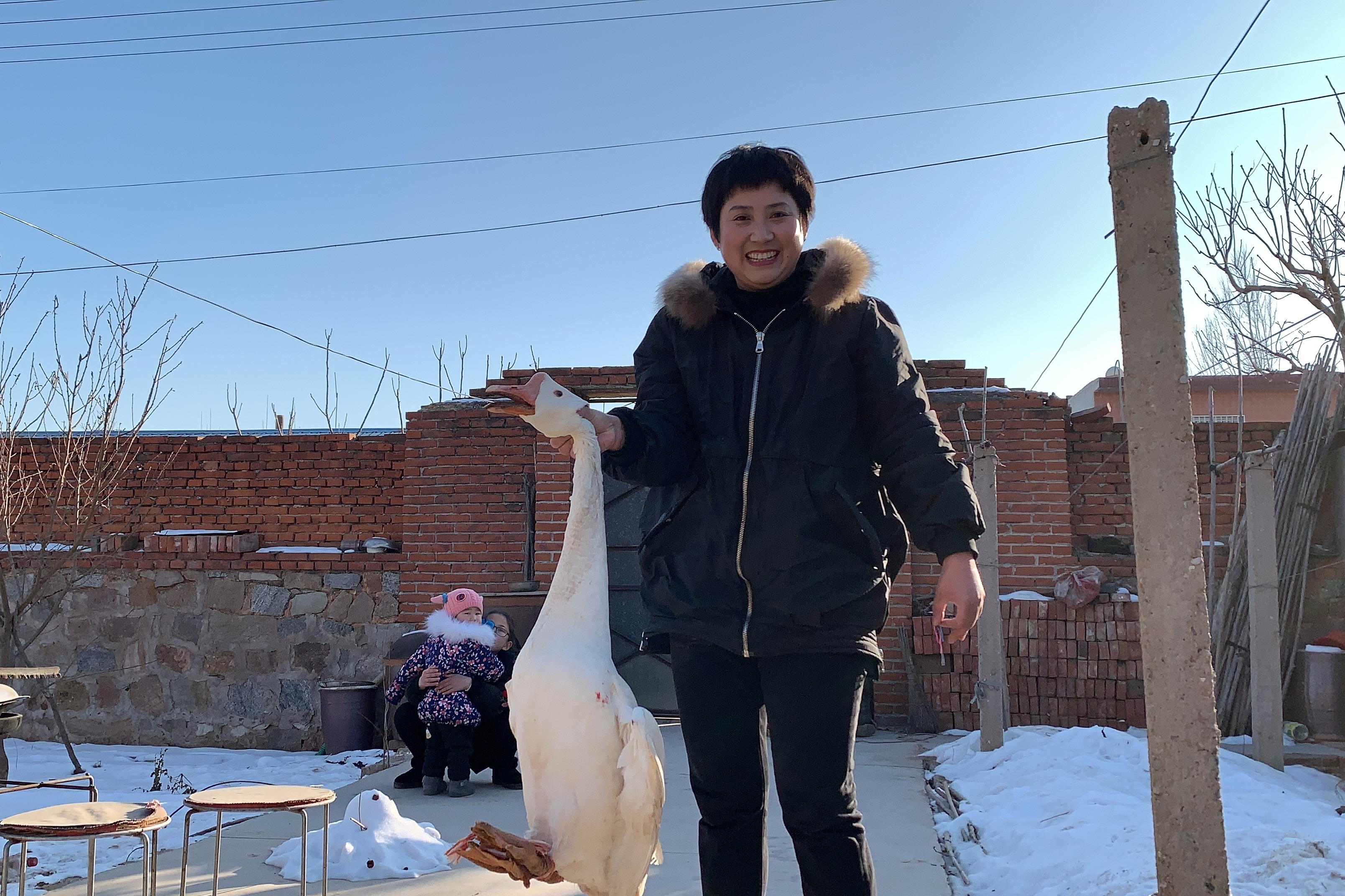 外甥回家，舅妈做个家常铁锅炖大鹅，肉香不柴，满口留香，吃嗨了