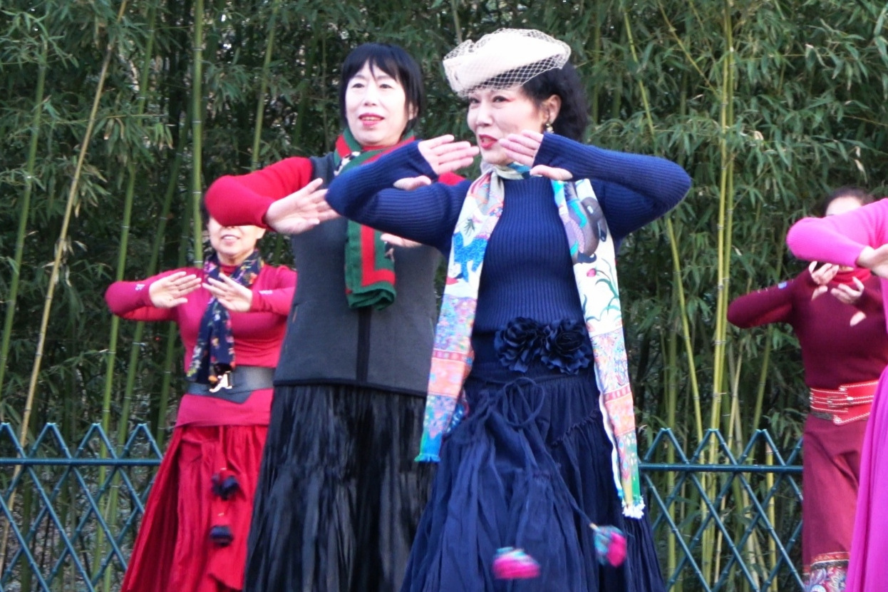 紫竹院广场舞《又见山里红》杜老师领舞,歌好听,舞步优美好看