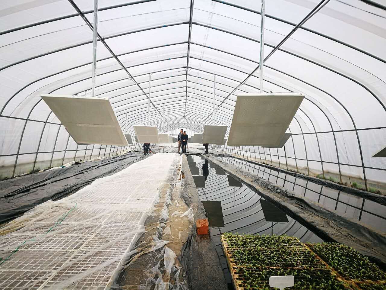 石墨烯发热板助力农业大棚增温