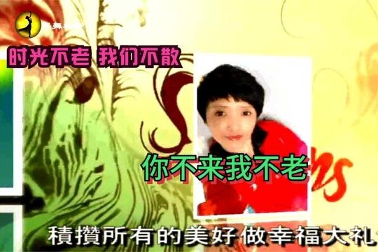 时光不老 我们不散 歌曲 你不来我不老