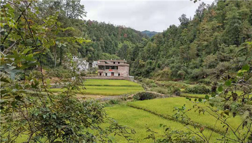 赣县区田村镇"五举措"打造客家特色"米果小镇"