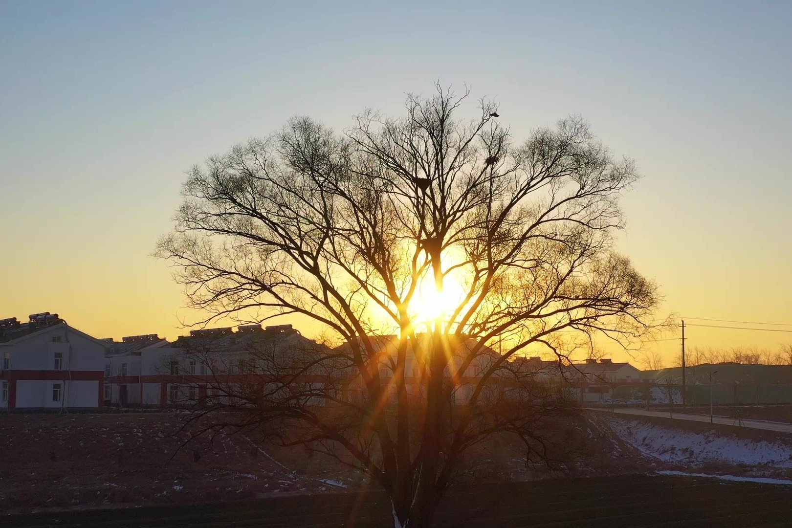 鄄城迎来2021年的第一缕阳光