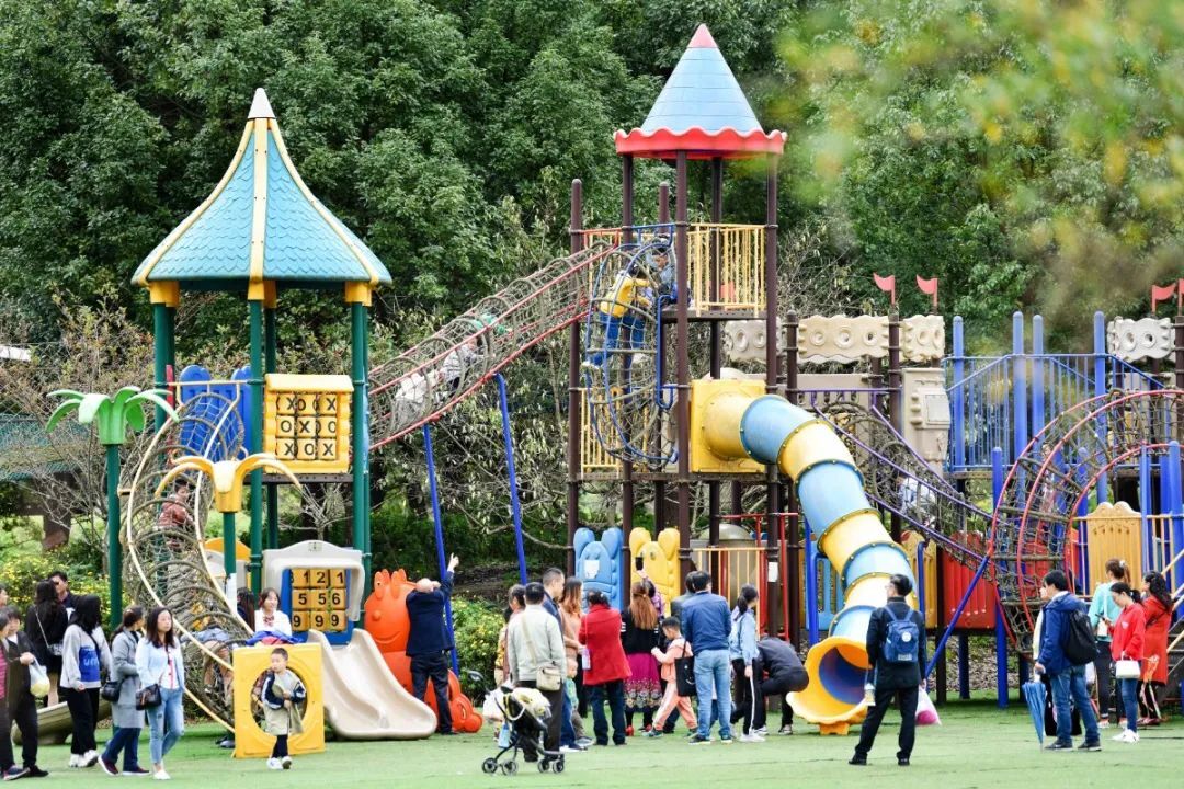 花期未到,热度依旧!升级打造后的秀丽东方首秀,变化原来这么大