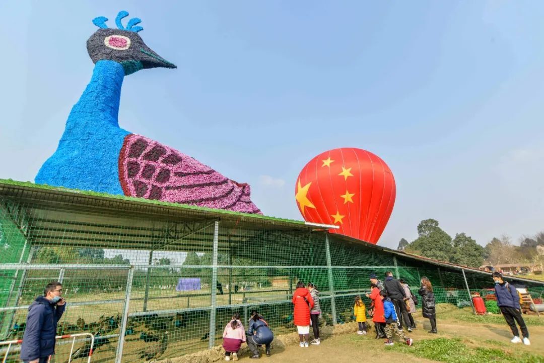 秀丽东方2021年1月1日实拍 △秀丽东方2021年1月1日实拍 △秀丽