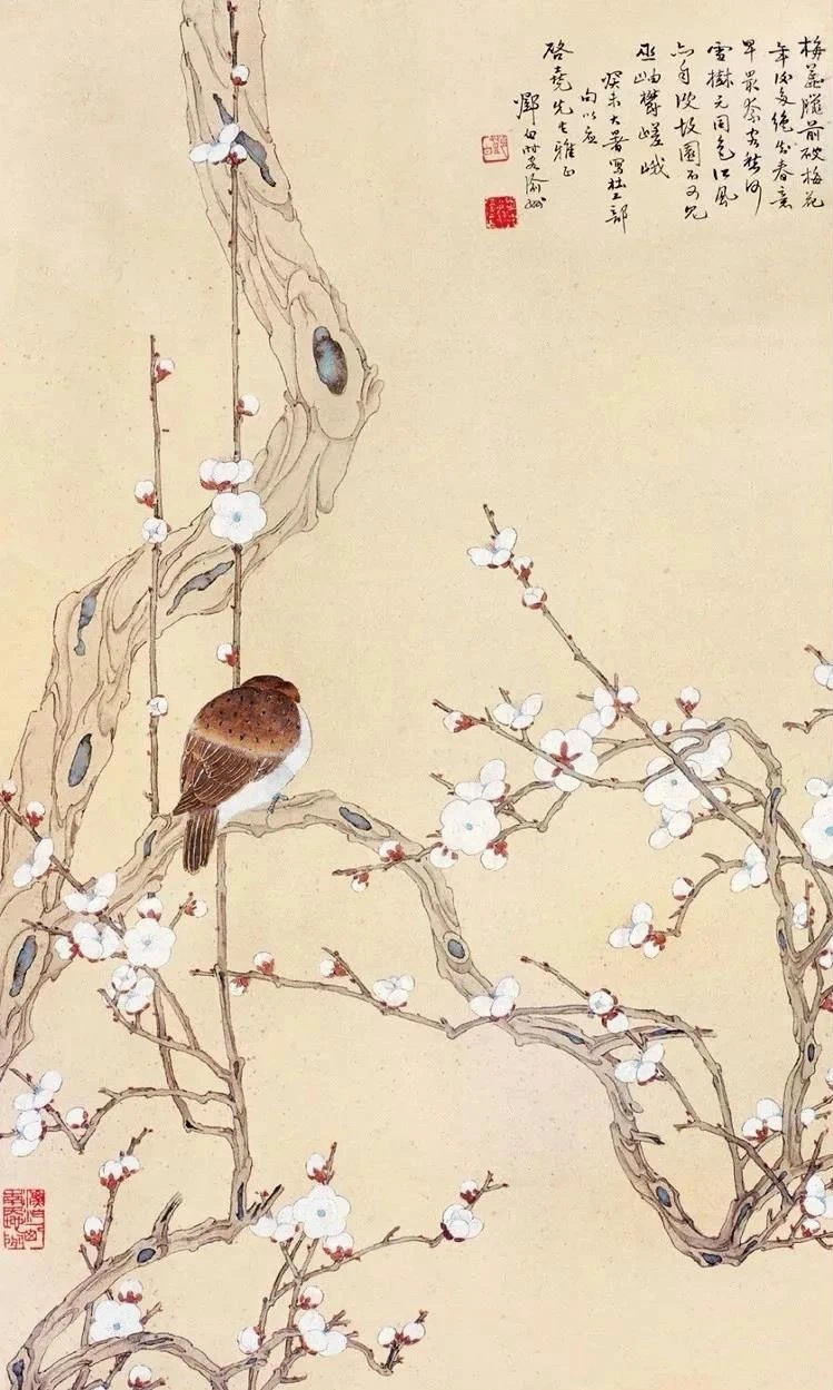 邓白画的梅花,清雅秀美!