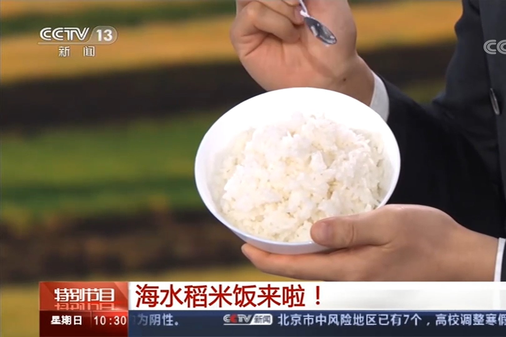 海水稻就是种福田!央视主持人现场试吃海水稻:不咸很香甜!