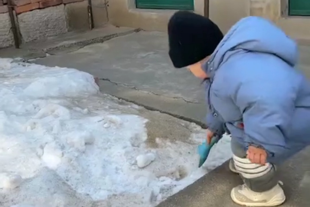 孩子，玩雪就玩雪，不必行如此大礼