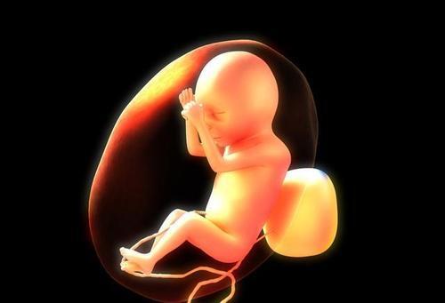 成都三代试管公司（滔滔顾问：女性雌二醇低可以做试管婴儿吗 有什么影响）