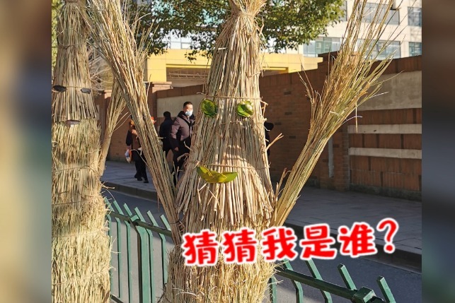 快看！杭州稻草人排队了