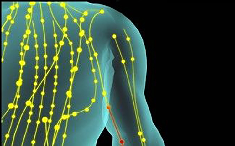 中医经络气脉能量与经络美容,助力实现逆龄容颜,留驻青春美好!