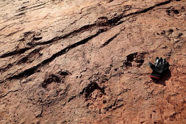 图注:在龙岩发现的恐龙足迹化石,图片来自网络