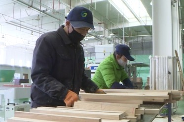 首次出口越南 商投集团“保税木”拿下六千万元订单