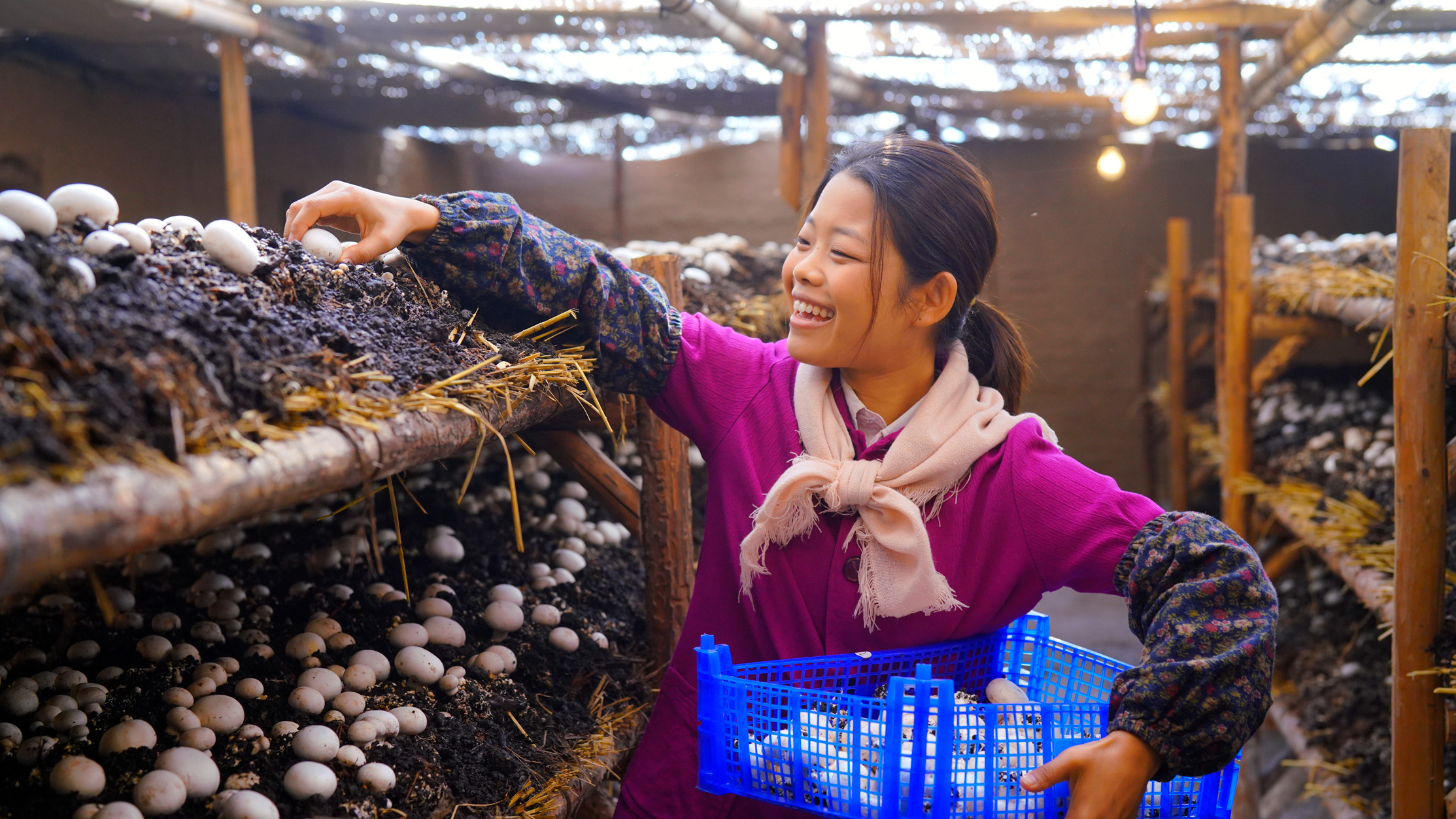 王莎莎《山海情》剧照