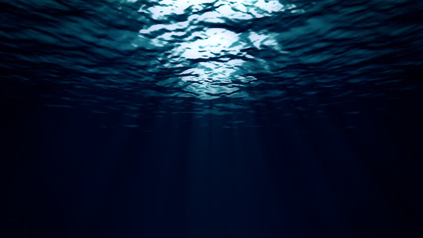 海洋究竟是什么颜色呢?潜入海底,探秘色彩斑斓的新世界