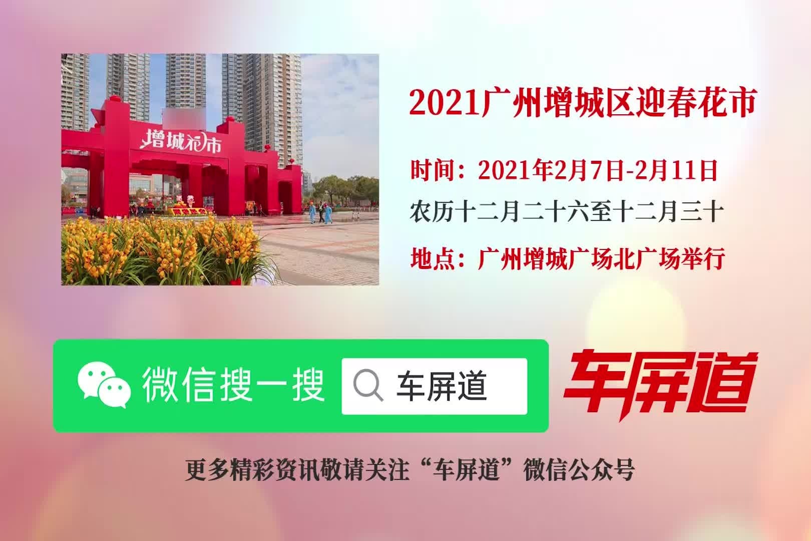 广州这里还能逛花市！！！街坊看过来！