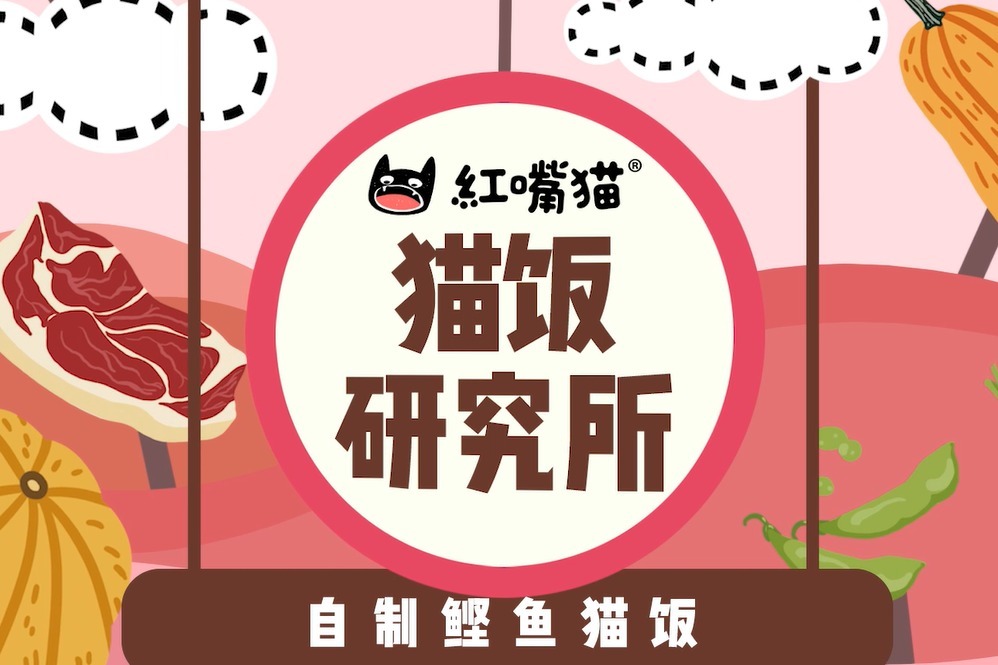 第5期：猫饭研究所自制鲣鱼猫饭