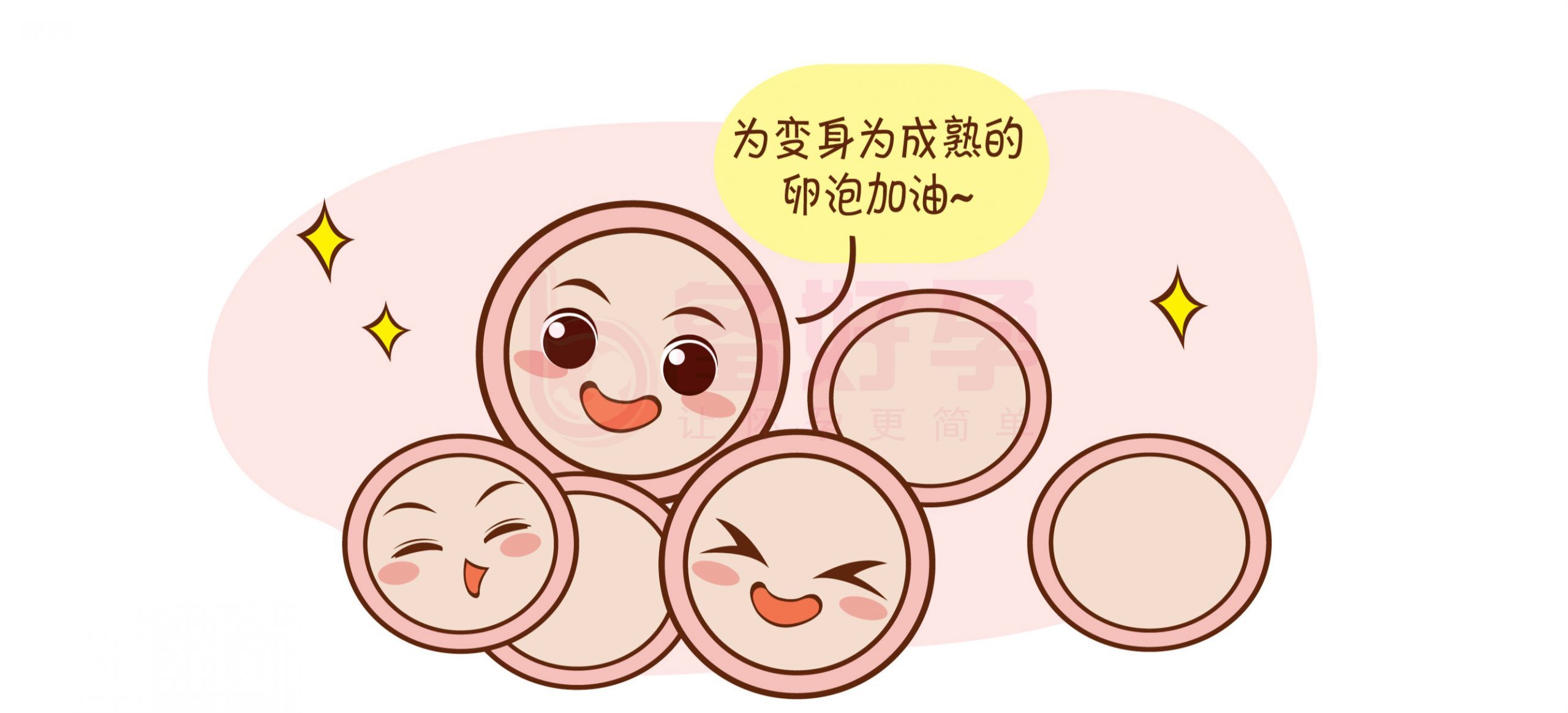 成都助孕中心排名（试管婴儿的具体流程是什么？）