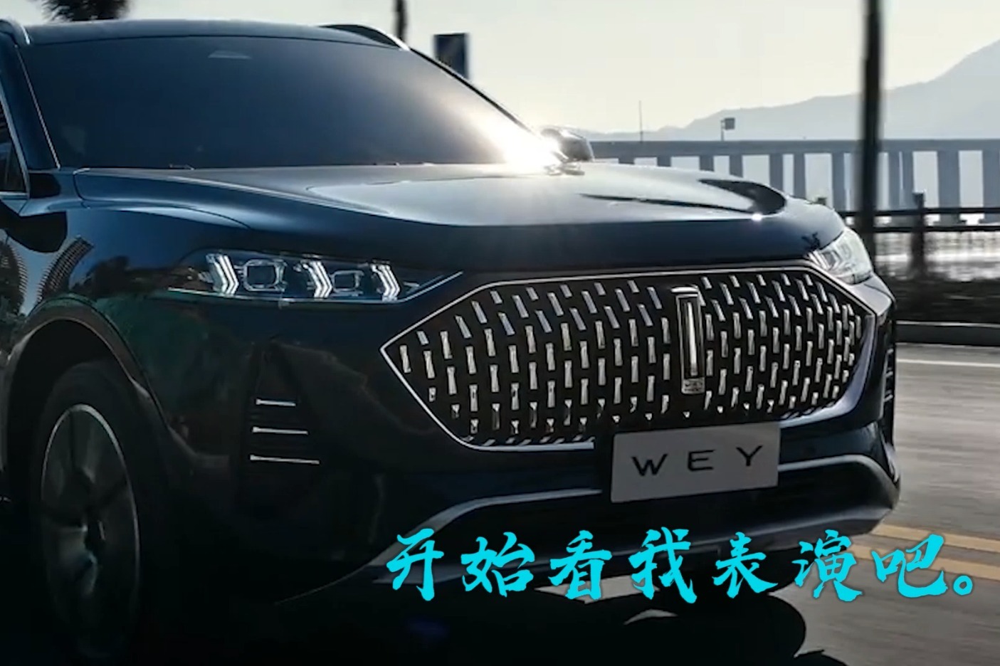 wey摩卡智能系统还能和某斯拉碰一下