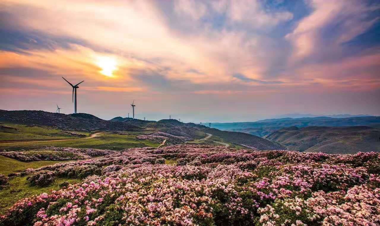 乌蒙大草原 图片来源六盘水市人民政府网微信公众号