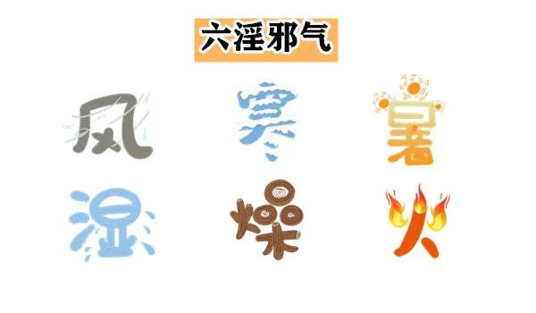 大白话说中医第一百一十二期|祛风化湿要根除,元气畅通是基础!__凤凰网