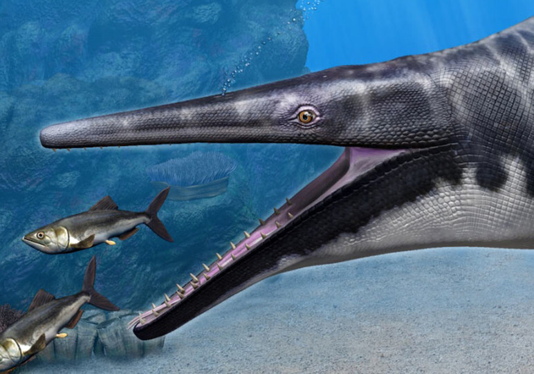 古生物学家发现长着鳄鱼嘴巴的怪异沧龙