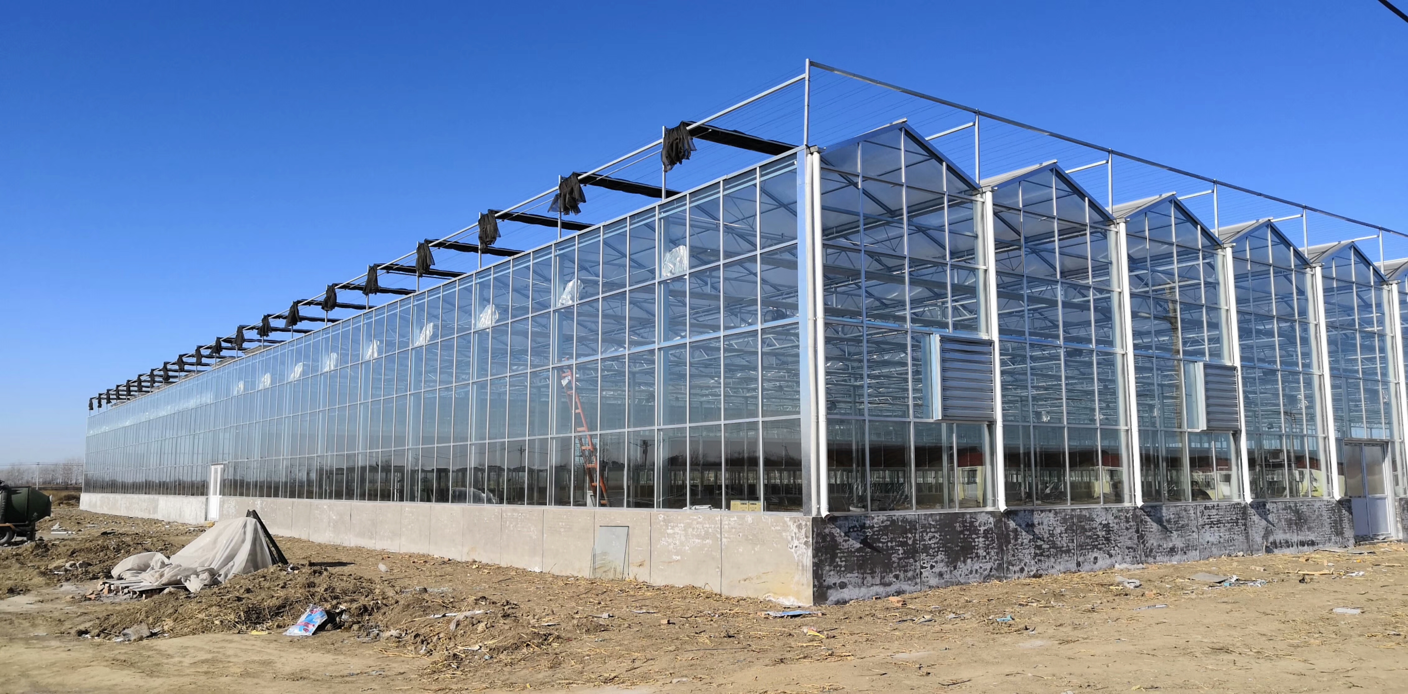 山东温室大棚公司专业技能优势