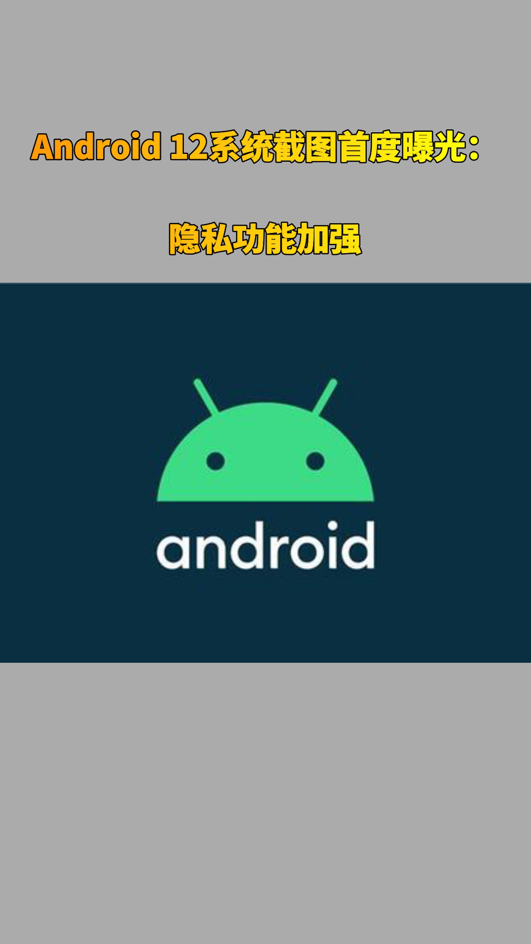 Android 12系统截图首度曝光：隐私功能加强