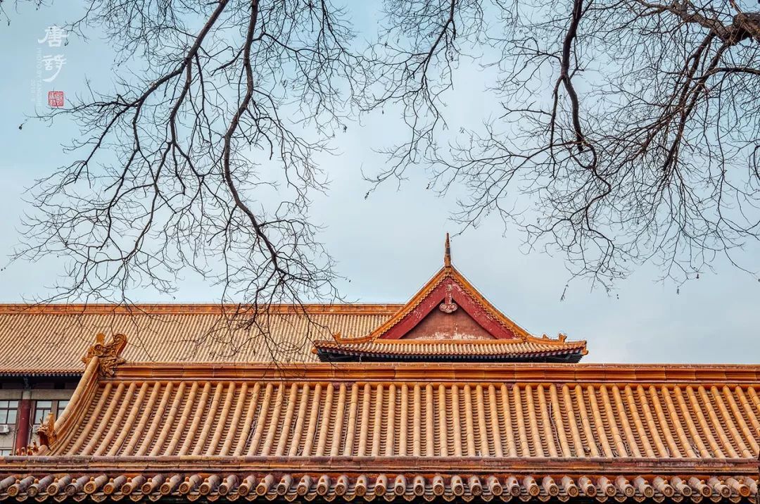 6大中国坡屋顶形式叫什么?竟不受外国人待见!