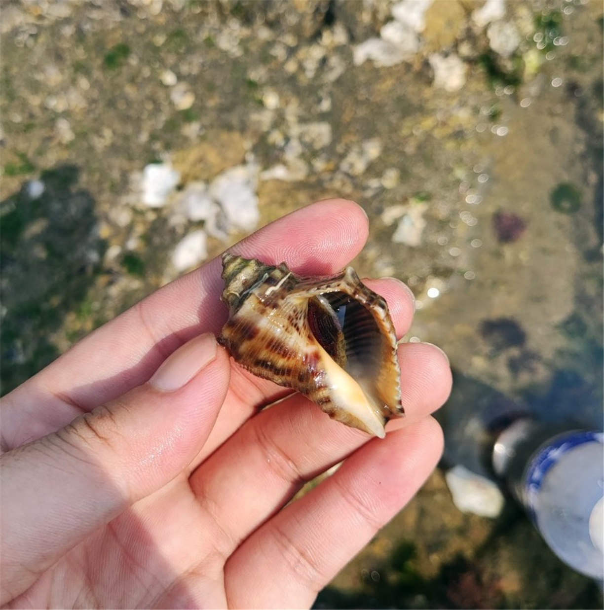 日照自驾游玩景点推荐，这些沿海的优美风景随手一拍就是大片