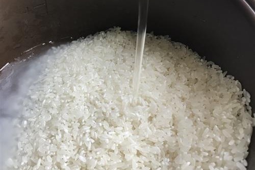 翼猫科技你们平时都是这么洗米的呢