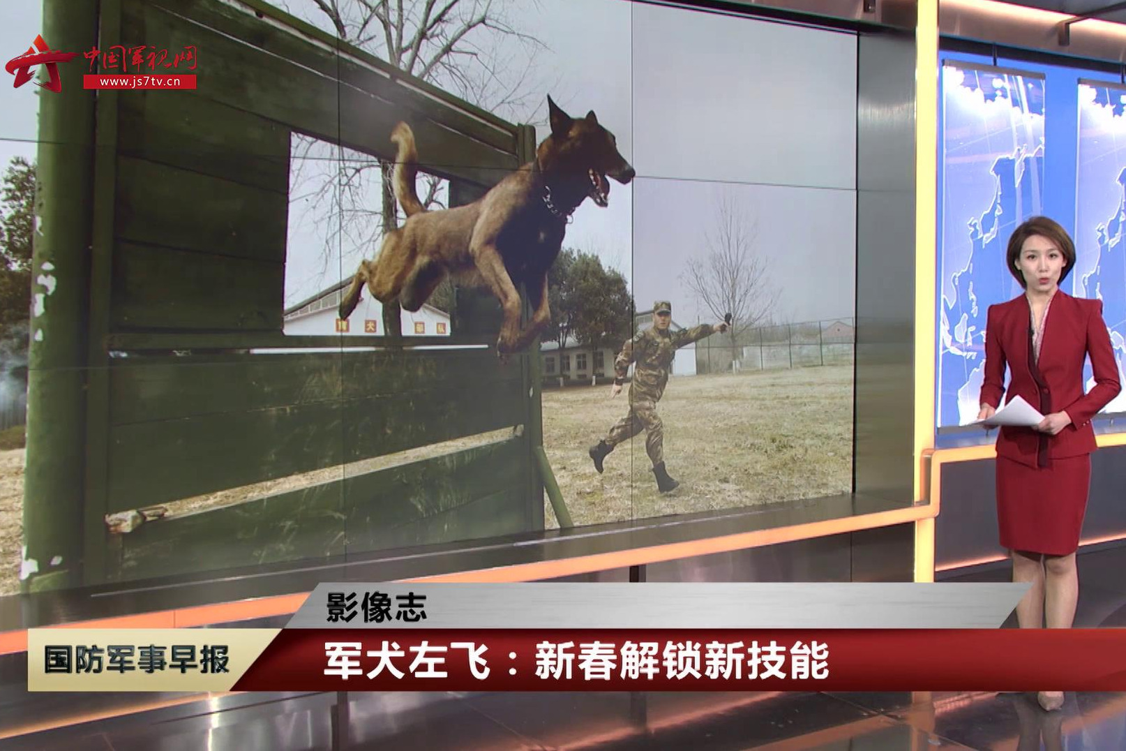 军犬左飞:新春解锁新技能_凤凰网视频_凤凰网