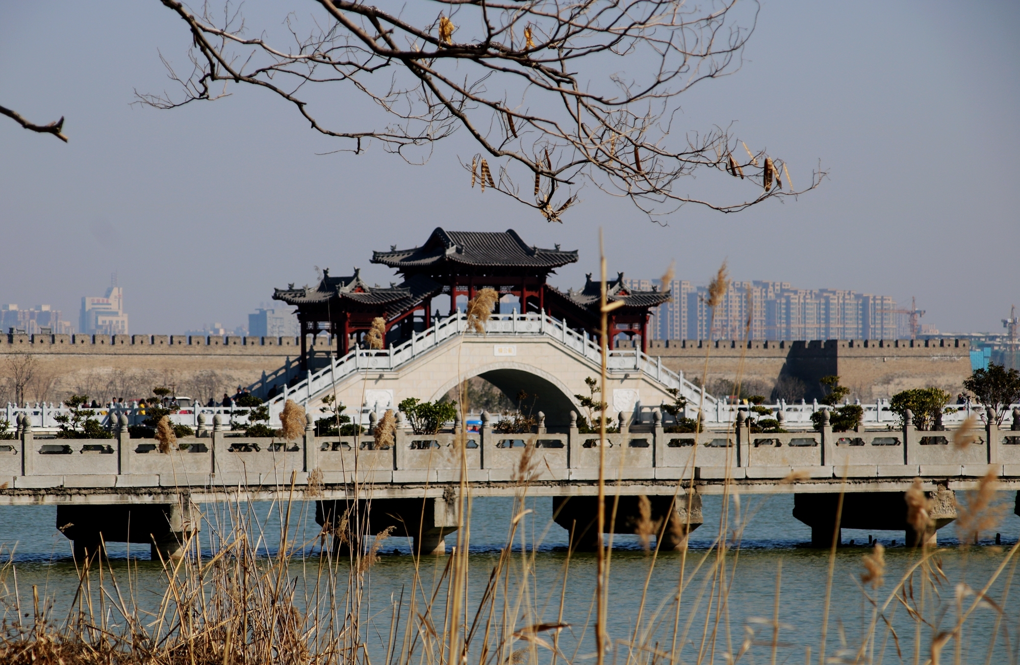 春意满商丘 年味溢古城