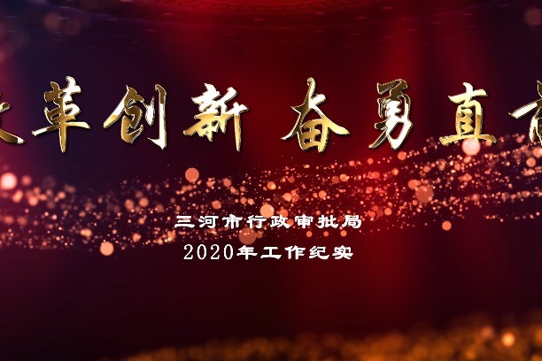 三河市行政审批局2020年工作纪实