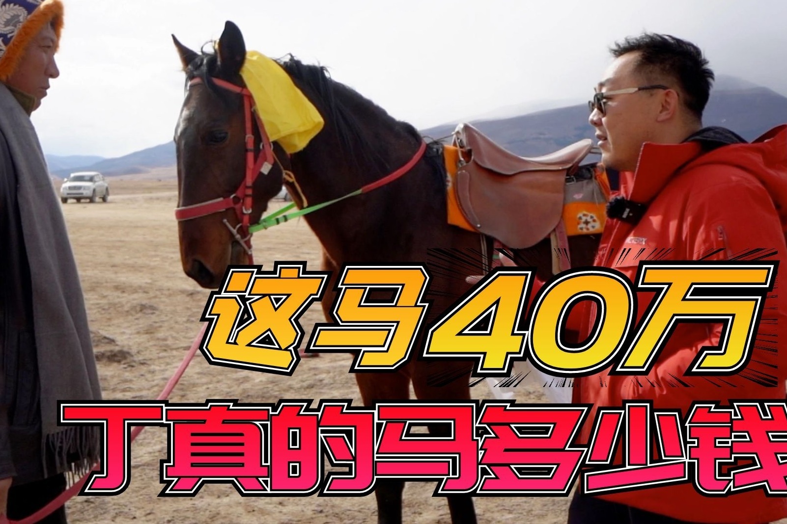 丁真小马珍珠的竞争对手竟价值40万，藏民也太有钱了