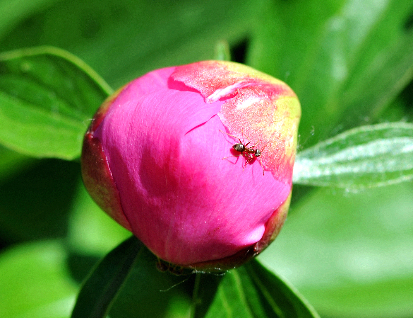 凤凰网 大风号 溪水清风 小说园 第四季 凤凰网