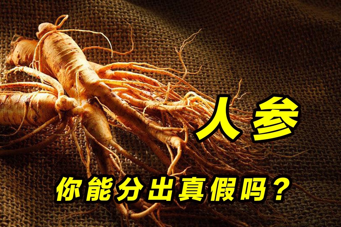 人参，你能分出真假吗？