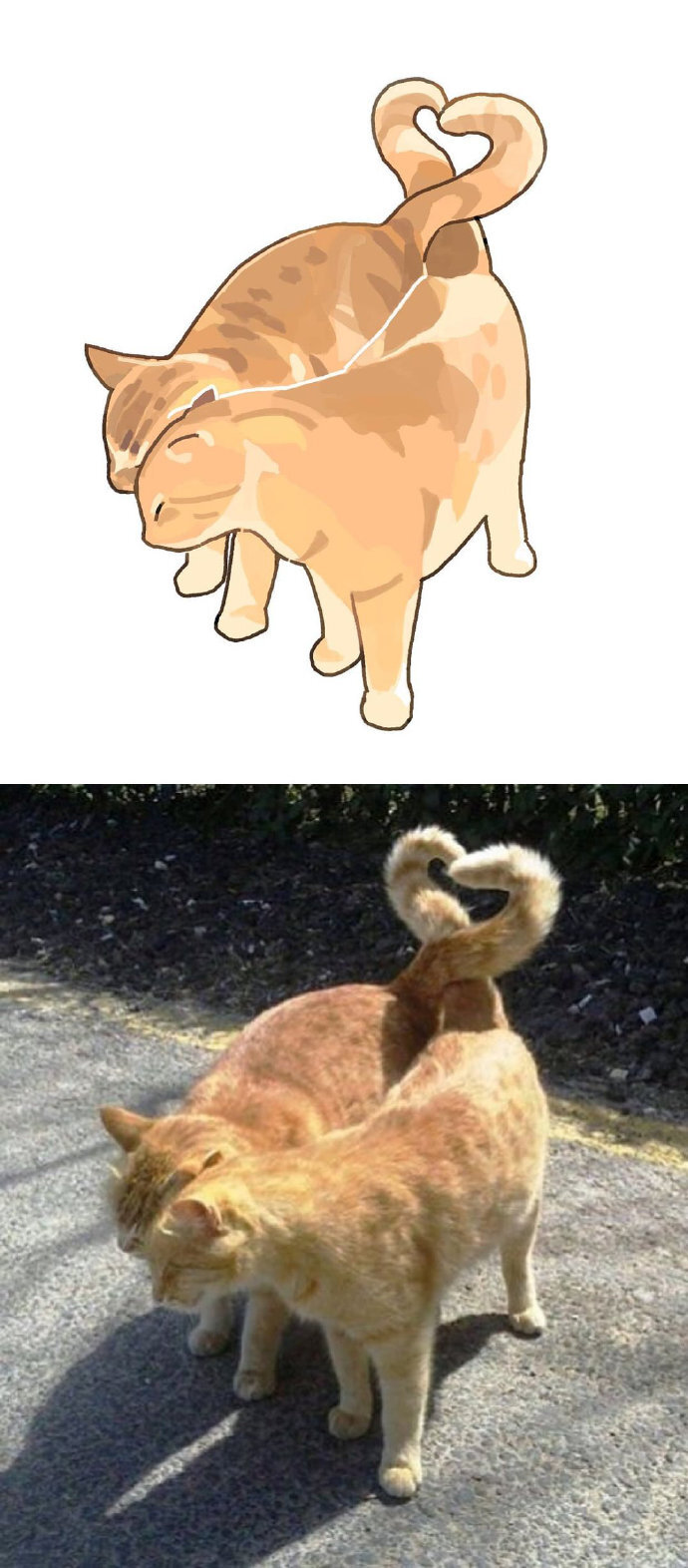 把猫猫二次元化后 网友:我的妈呀,那个后脑勺!