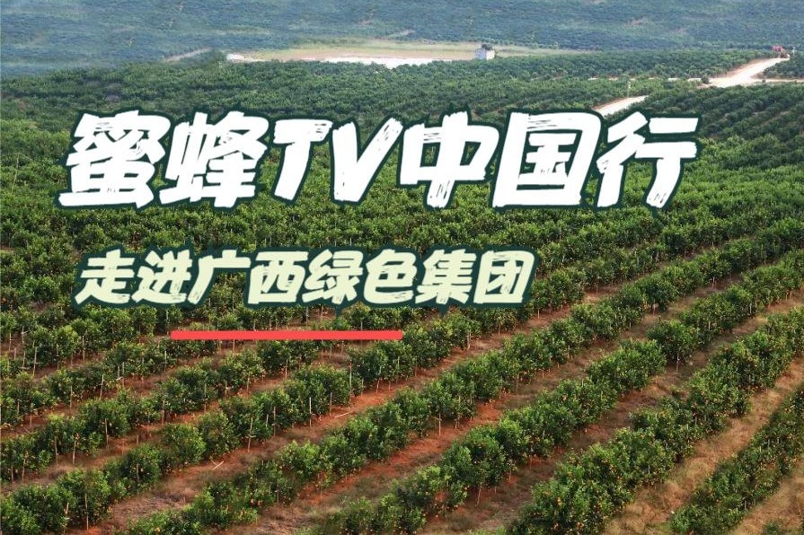 蜜蜂TV走进广西绿色集团，特色产业助发展，乡村振兴迎致富！