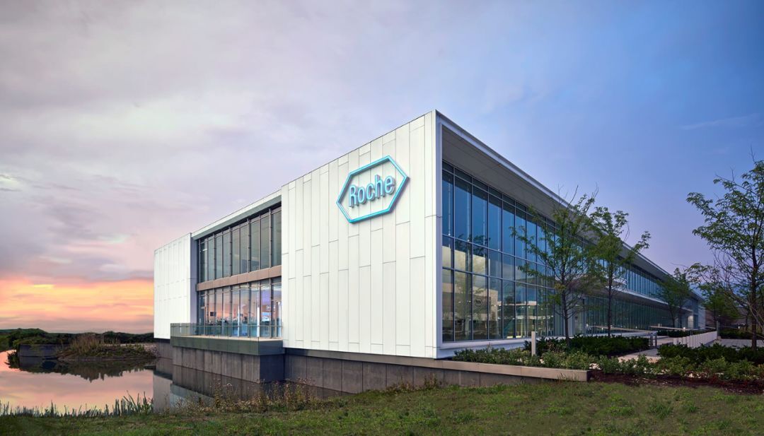 作为一家瑞士制药巨头,罗氏在 美国区的营收254.