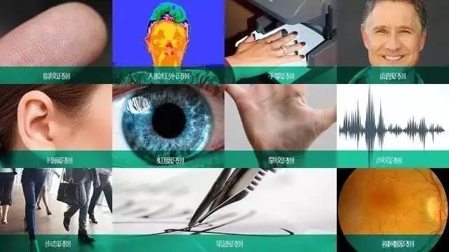 生物识别技术日趋火热大型公司纷纷入局