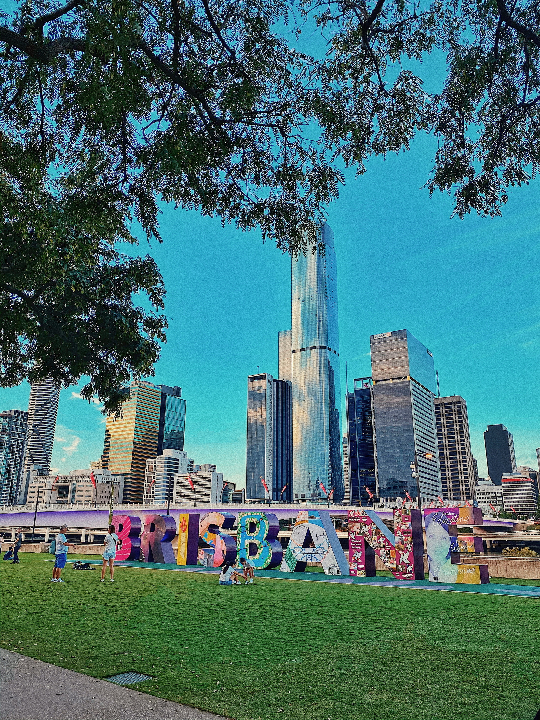 思窝星图腾:布里斯班南岸公园,异国他乡的勒杜鹃花记忆之旅