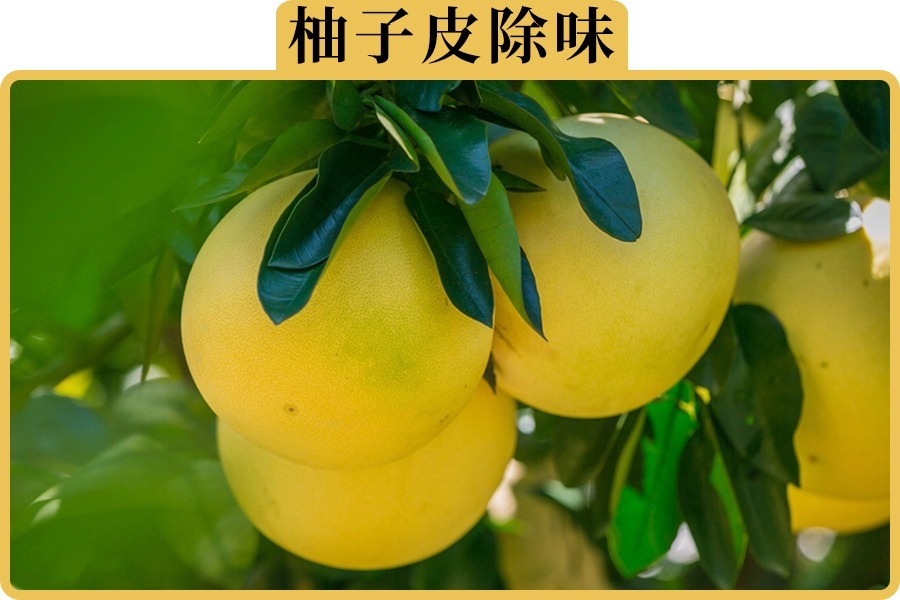 把柚子皮放车里能除异味？纯属胡扯