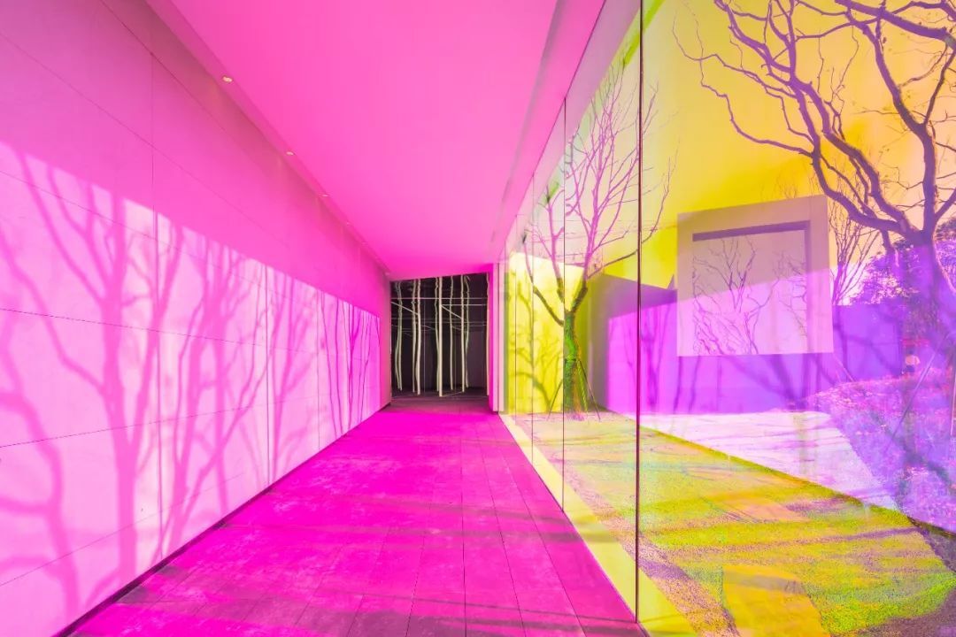 连廊内部空间,以一种极具艺术性方式去表达镜面,光影,灯带的巧妙组合