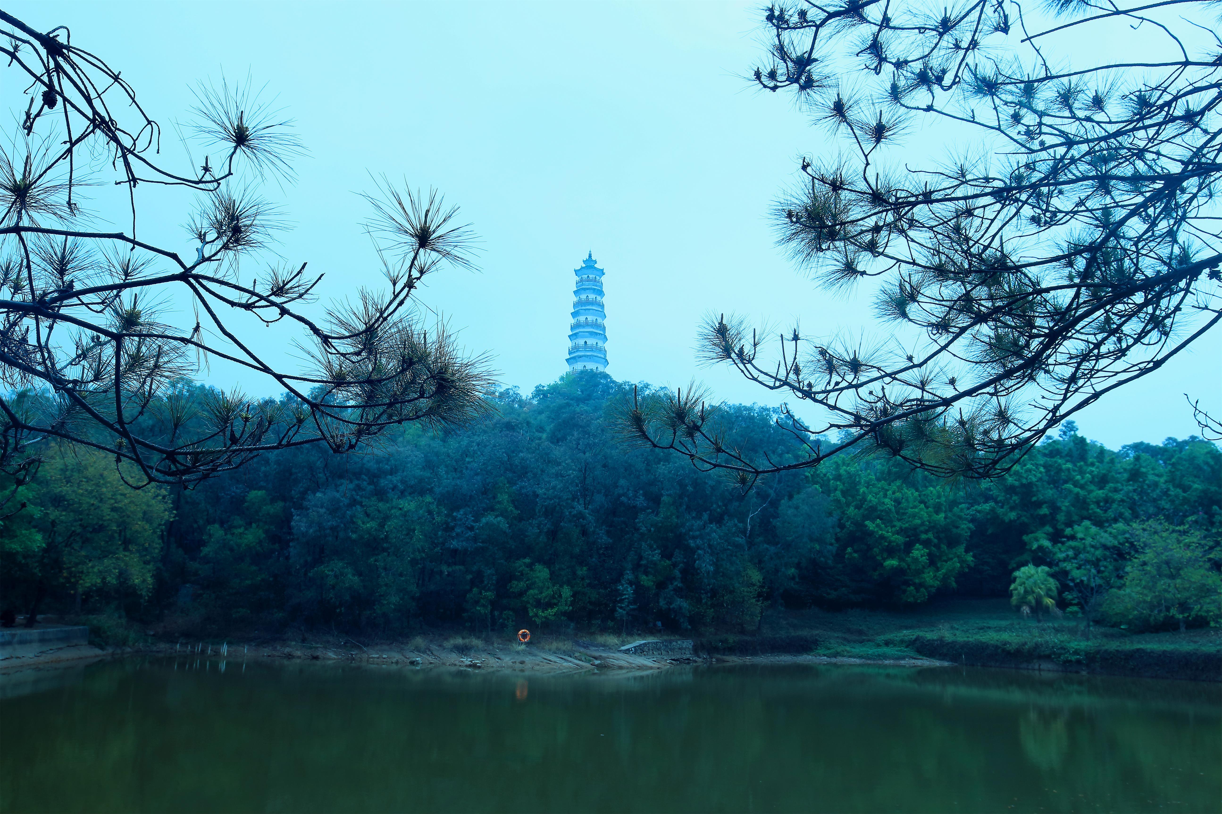 東莞旅遊地榴花公園__鳳凰網