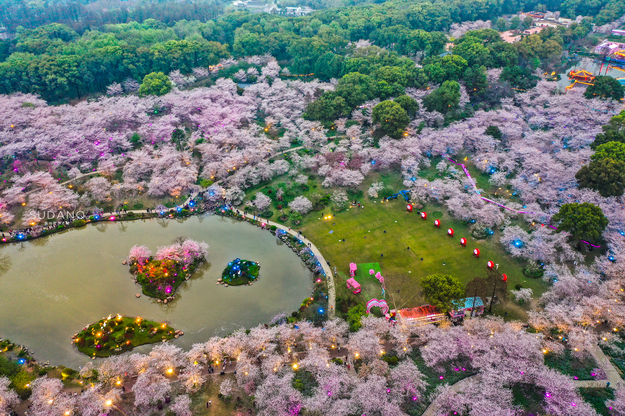 武汉清凉寨樱花图片