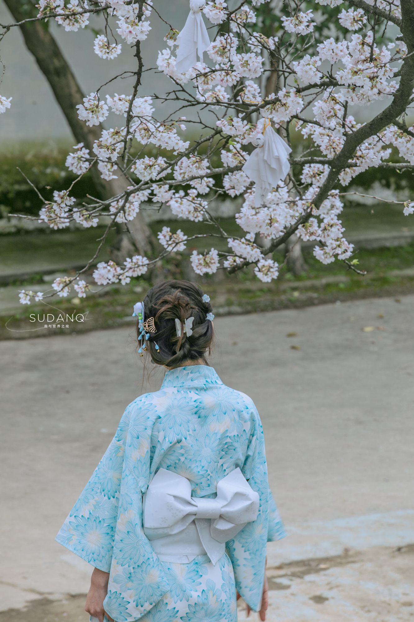 樱花树下的旗袍美女_亚洲图片,亚洲人体艺术,亚洲色图 _另类小说网