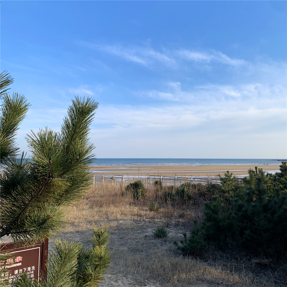 日照旅游景点排行榜，除了特色海滩还有这些你不知道的独特美景