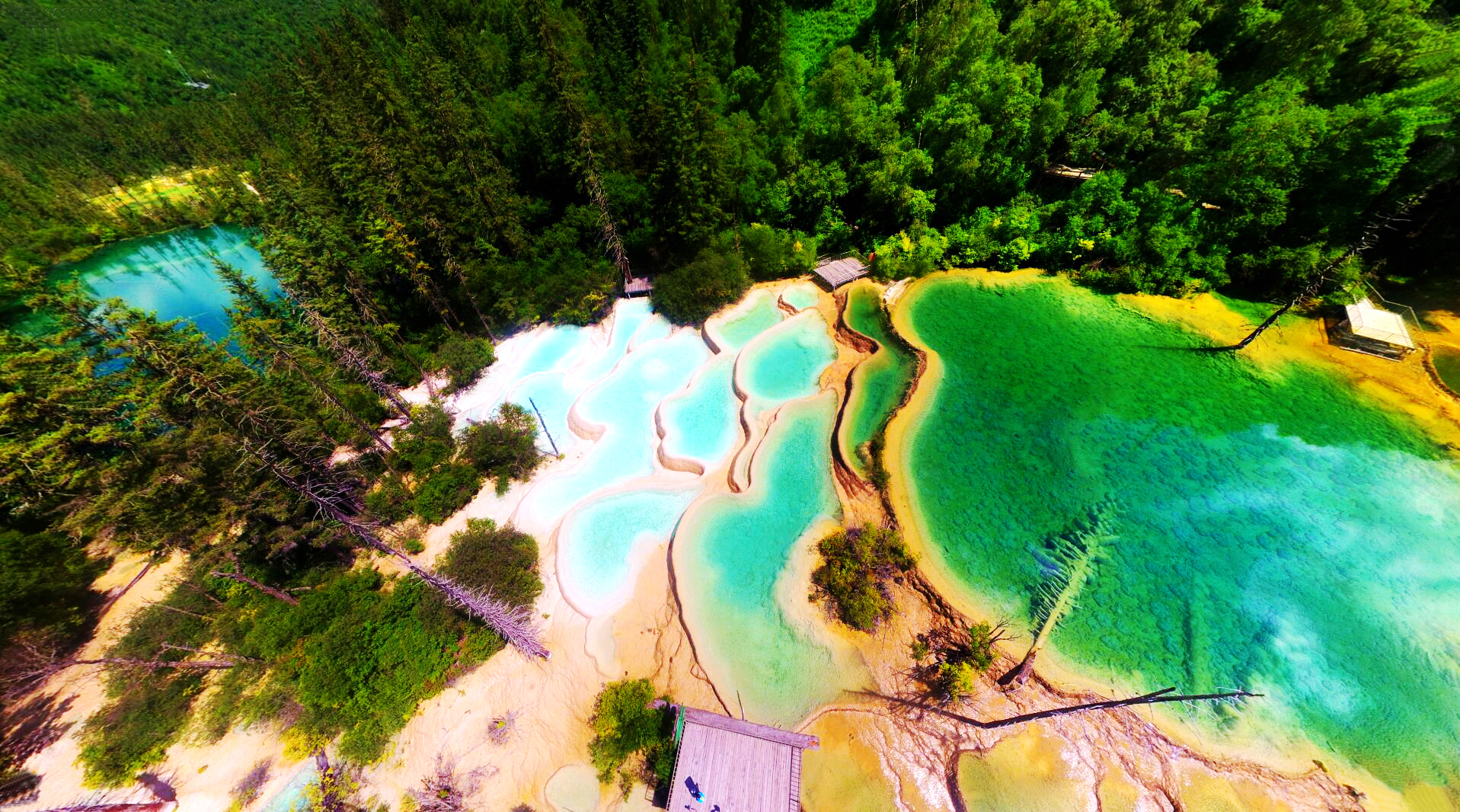 这个夏季我们去九寨沟神仙池看美景