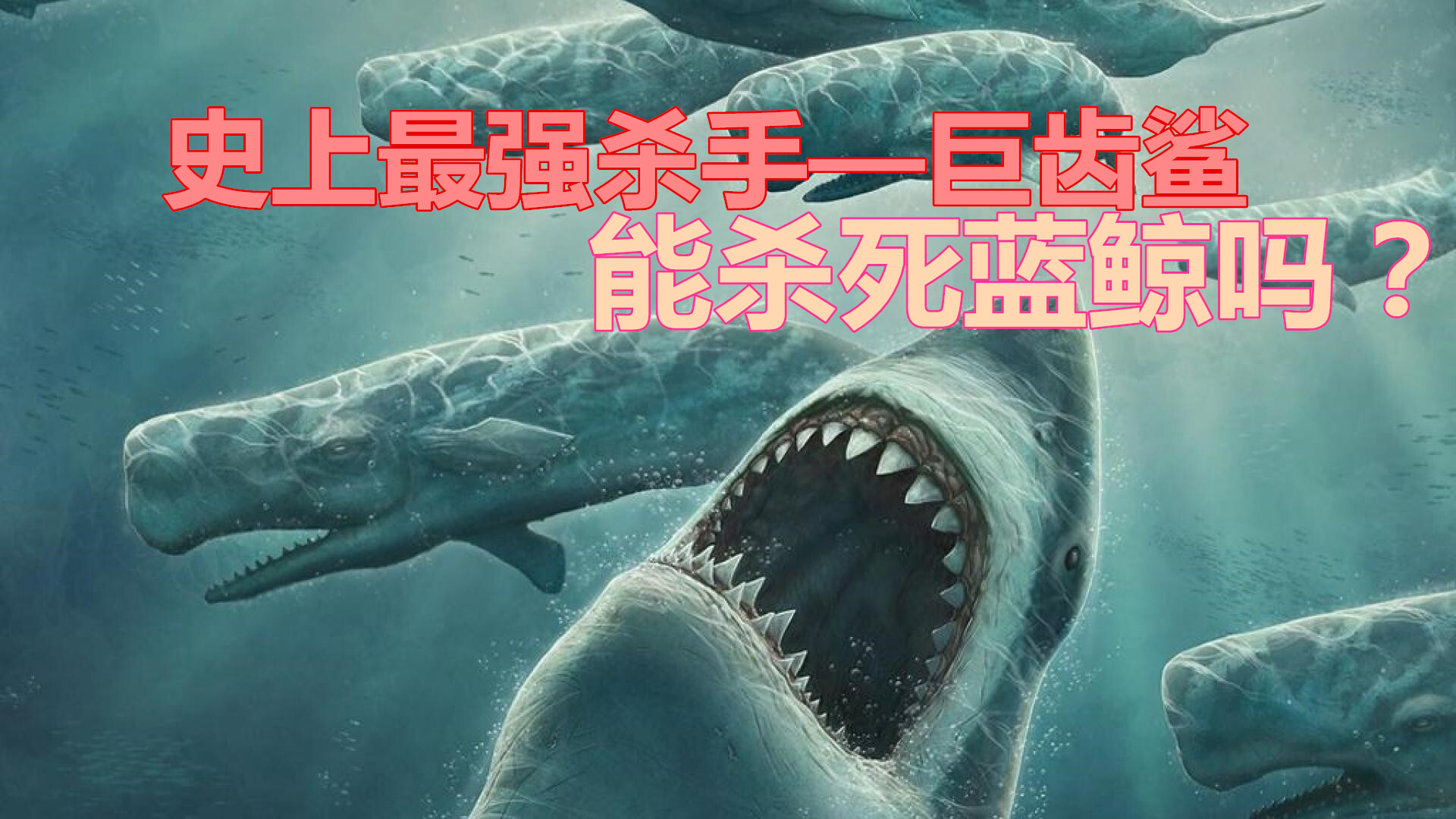 “史上最凶悍生物”巨齿鲨为何灭绝了？_大白鲨